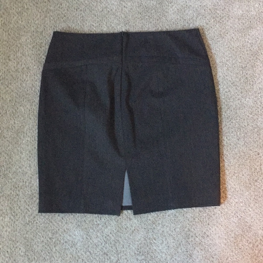 Express Skirt - Picture 3 of 3